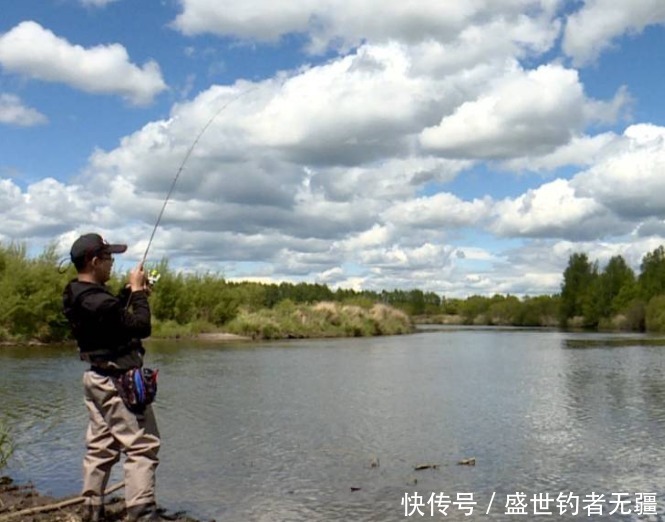 盛世|野钓鲤鱼，关键技巧是这四个，上鱼速度快又狠——盛世三渔