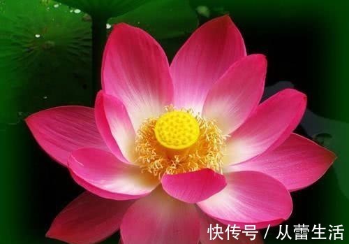 唐太宗|有出息的人,身上往往有这三个特点,看看你有吗?