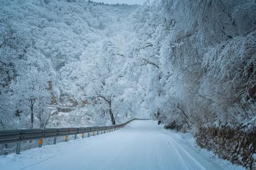 惊艳|惊艳世界，不过是神农架下了场雪……