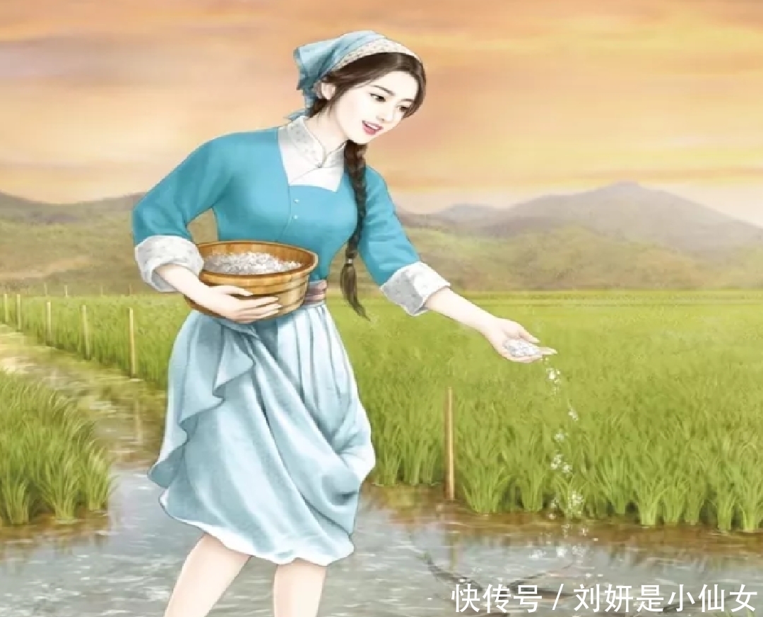 安利3本年代文小说,本本都是高评分好口碑,带你度过书荒时刻