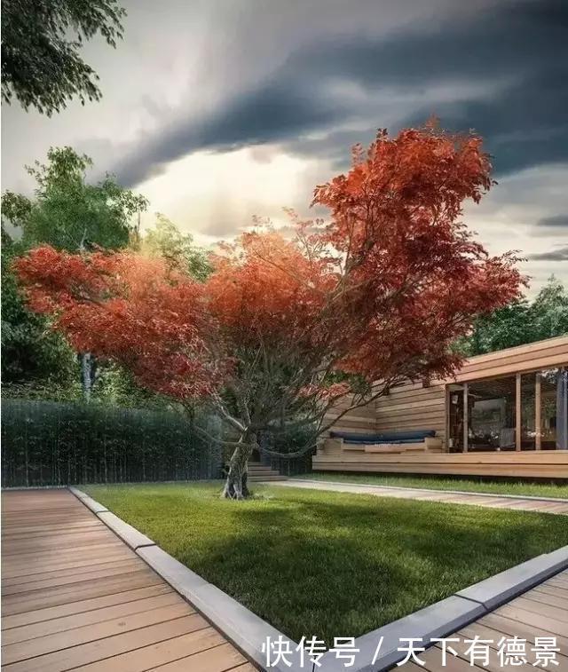 庭院,也需要断舍离