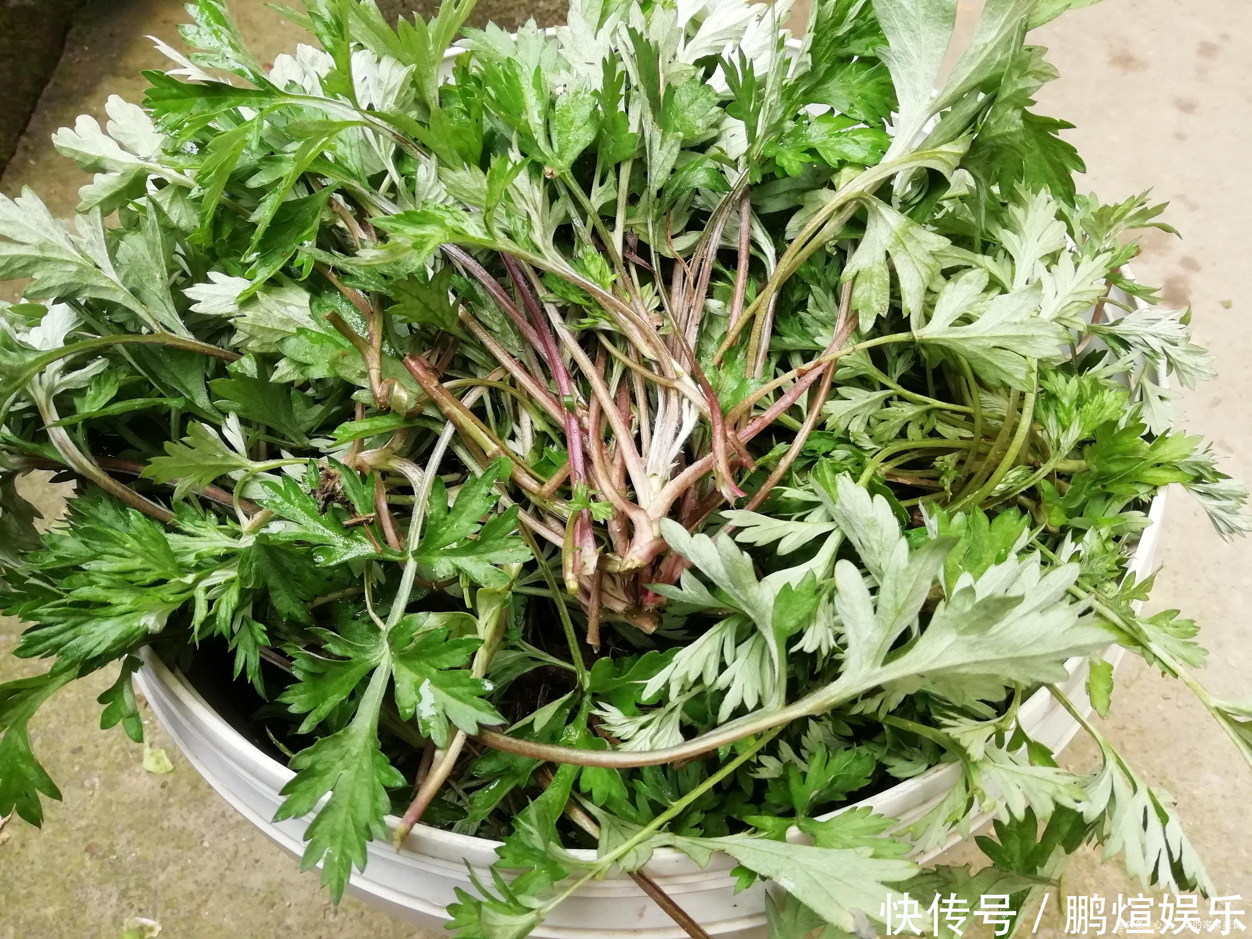 江西人爱吃的4种野菜,都是好东西,尤其第3种,会吃的人不多