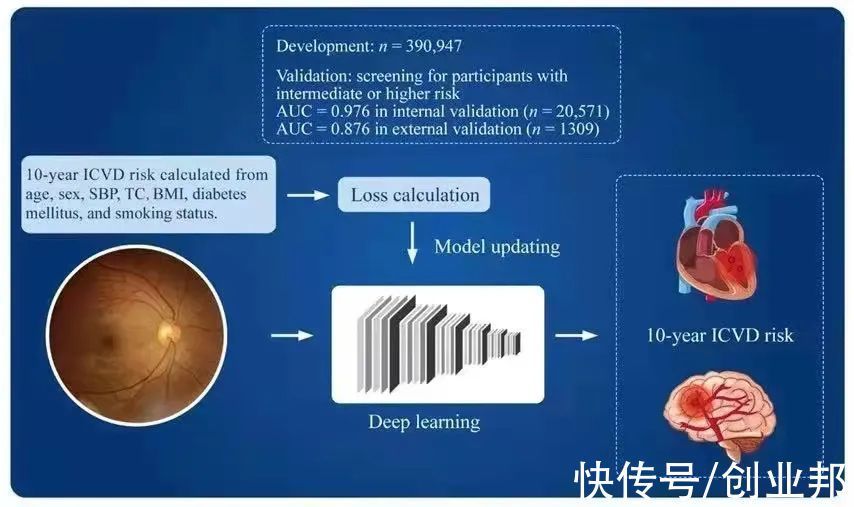 人工智能|“慢”生意驶入快车道,鹰瞳科技成为医疗AI第一股