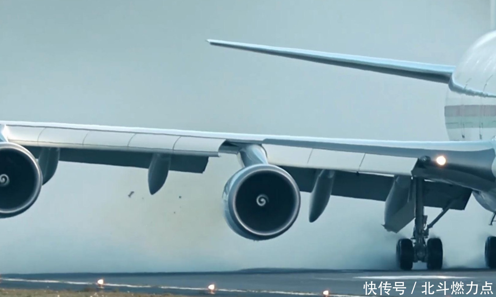 飞行员为何害怕鸟出现?其威力不亚于炮弹攻击,每年损失超100亿