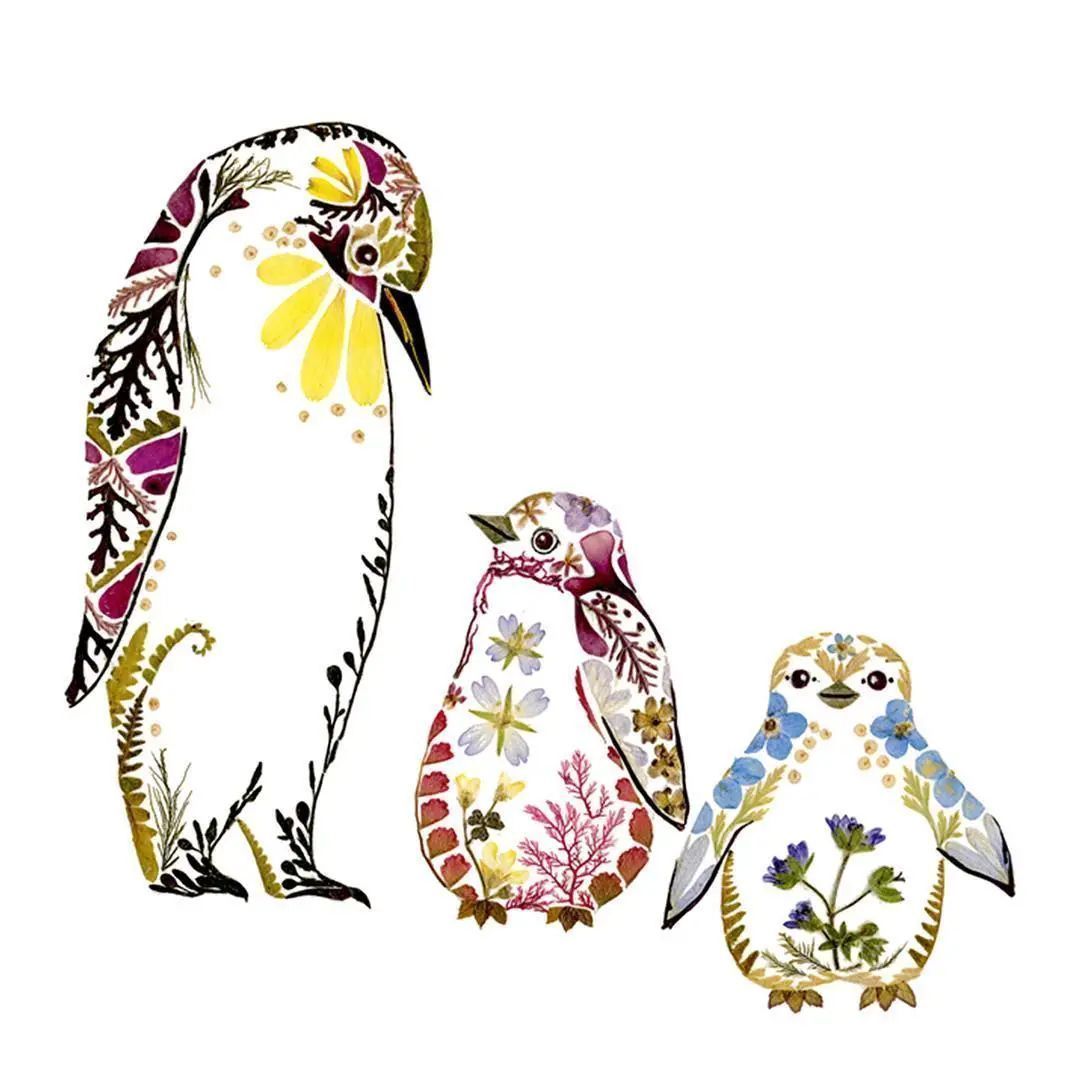 植物$她画画的材料是花瓣,工具是把刀,直接用刀刻出画