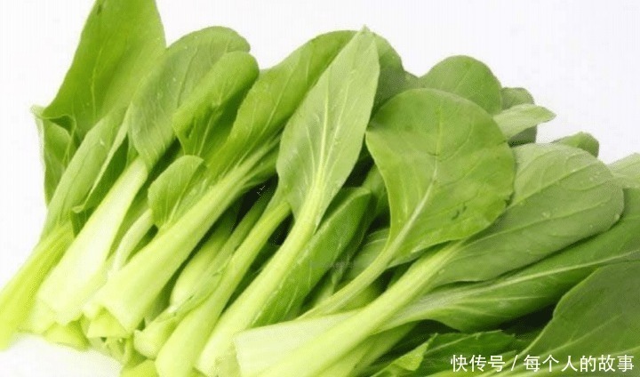 小白菜|秋天遇到此菜我从不手软,营养极高,做成水饺,比韭菜茴香还好吃