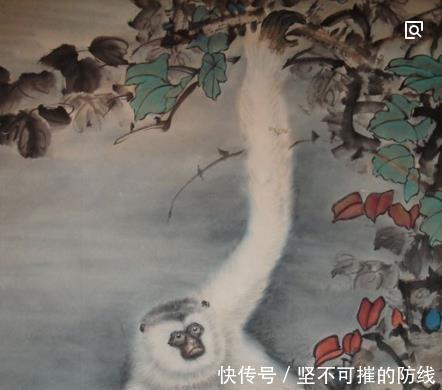 大将|他是蜀汉长寿大将，弯弓射白猿，白猿一个举动感叹道我阳寿已尽！