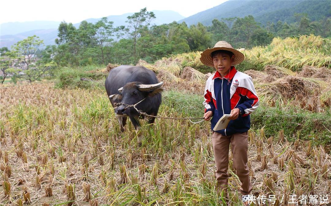 临时意志力|带着孩子共读《贫穷的本质》：延迟满足，是摆脱贫穷的基础