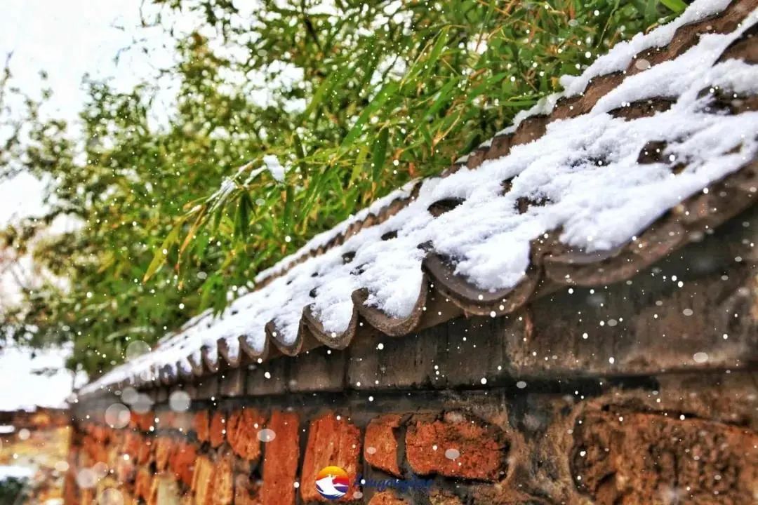 期待|期待一场大雪 邂逅最美山“冬”