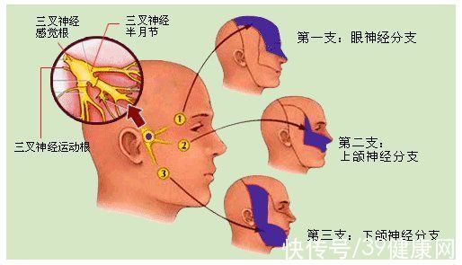 cctv|世上最疼的病是什么病？临床上这3种“疼痛”，经历过的都是超人