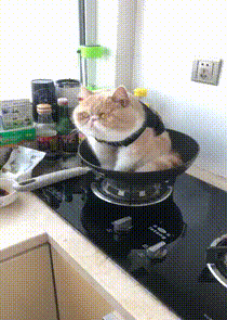 |搞笑GIF:妹子厉害了啊,这就是胳膊肘往外拐吧