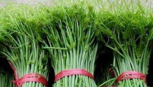 中年|女性到了中年,常吃3种食物,刮油消脂,排毒减肥,营养又瘦身!