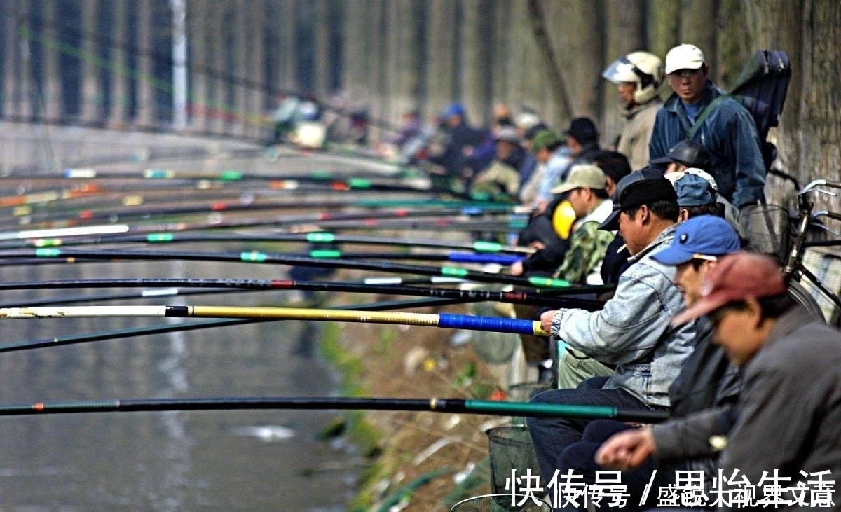 黑坑|没有不变的黄金钓位，只有善于发现的钓鱼人