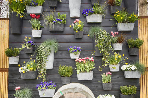 家里这3处位置不要养花，吊兰、绿萝再好养，也会黄叶活不了