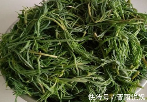 延緩衰老|秋天到了，不妨多食3種食物，延緩衰老，減肥瘦身，早吃早受益