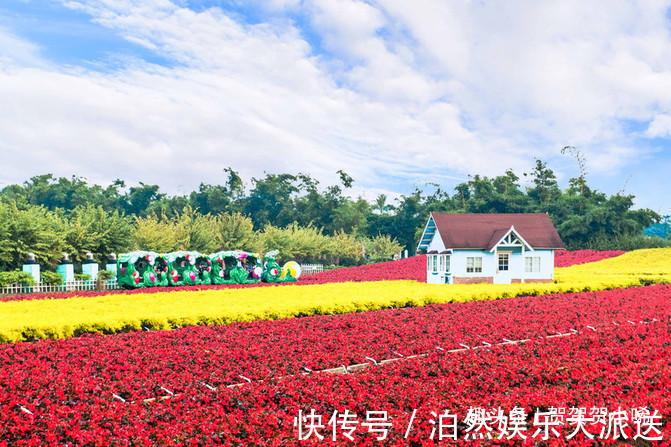 广东也藏了个“普罗旺斯”，美得像个童话世界，超适合女生去拍照