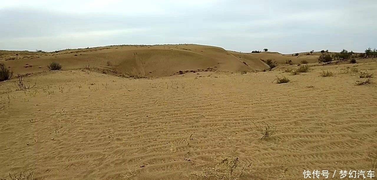 逐渐恢复|中国即将“逆袭”的沙漠,本已逐渐恢复生机,却来了一批不速之客