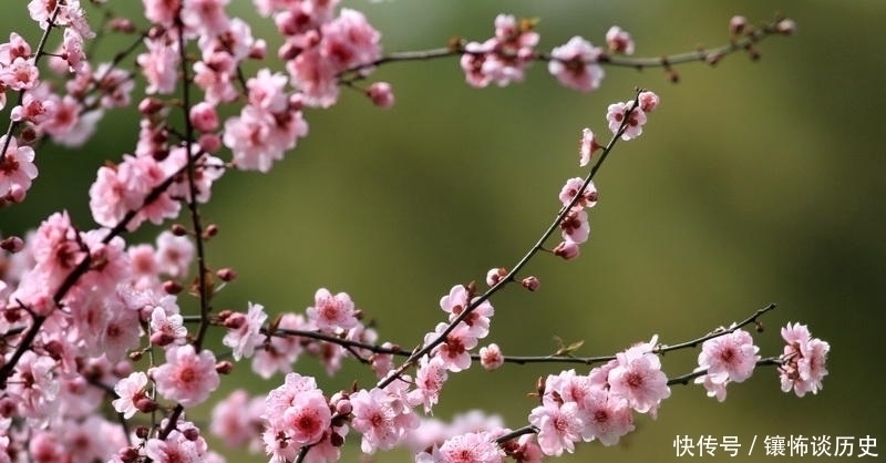 诗人#清风明月正宜人,足以慰风尘,七首唯美宋诗,忘却烦恼只留星辰