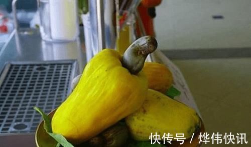 咳嗽|它是菜也是药,润肺又化痰,孩子常吃不咳嗽,很多人吃过却不知道