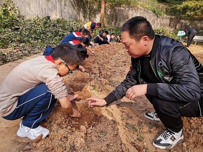 平阳县顺溪镇中心小学：与萝卜的跨年之约