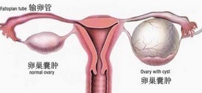 医生|16岁少女剧烈腹痛,B超检查后,医生却说快喊你家长来!