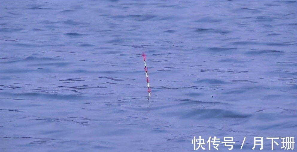 冬钓用漂三原则,选对浮漂,就不担心鱼口弱、漂讯差了