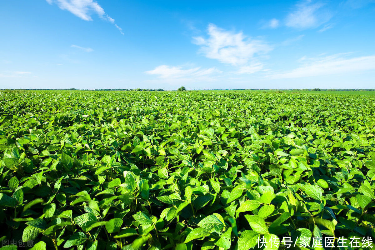 致癌|都说吃隔夜菜会致癌，真的吗？其实不是这3种菜，是没问题的