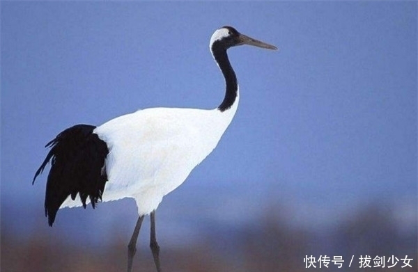 才干|盘点那些猝不及防的爆笑瞬间,坐地铁也疯狂,笑s我了