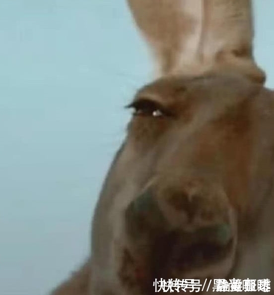 青铜|美术生在纸上乱画圆圈,本以为是青铜,看到成品之后:这是高手!