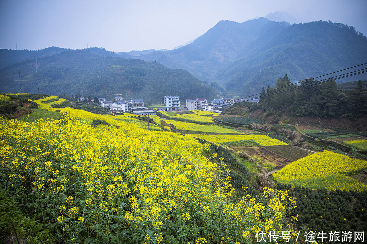 严池村，皖南的“龙脊梯田