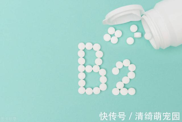 维生素b12|维生素B1、B2、B6、B12有哪些作用？这几种维生素能一起服用吗？