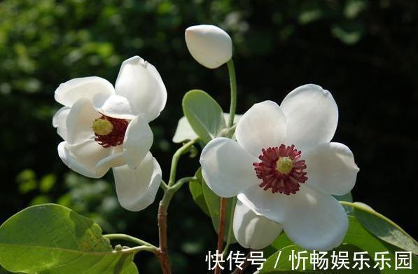 这四种人@这四种人,是你生命中的贵人,遇上了千万要珍惜