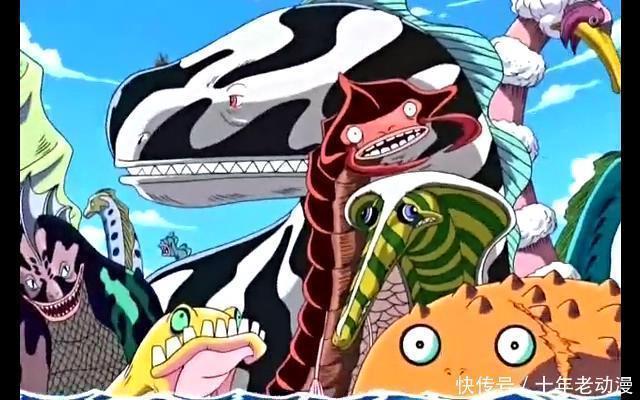 战斗力超强|海贼王中战斗力超强的几种动物,还有一个击败过索隆!
