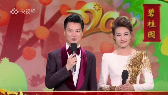 董卿连续四年缺席元宵太遗憾！百位主持齐聚太泪目，李梓萌李红太惊艳