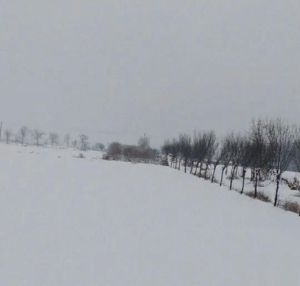 初冬|郭明祥‖ 初冬雪