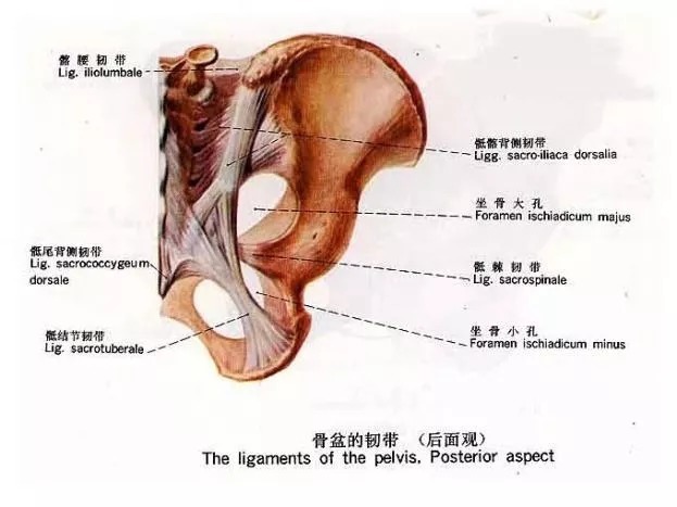 骶髂关节紊乱|奖门人:产后腰腿痛,是椎间盘突出导致的吗?这个原因你可能忽视了