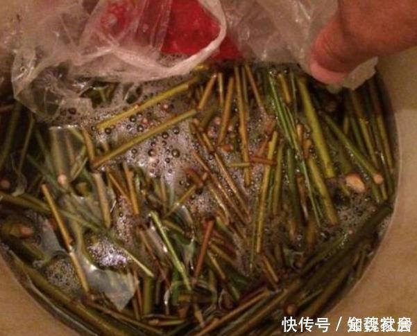 米醋|各种窍门制作“生根水”,不花钱的生根水只有1种,别盲目使用