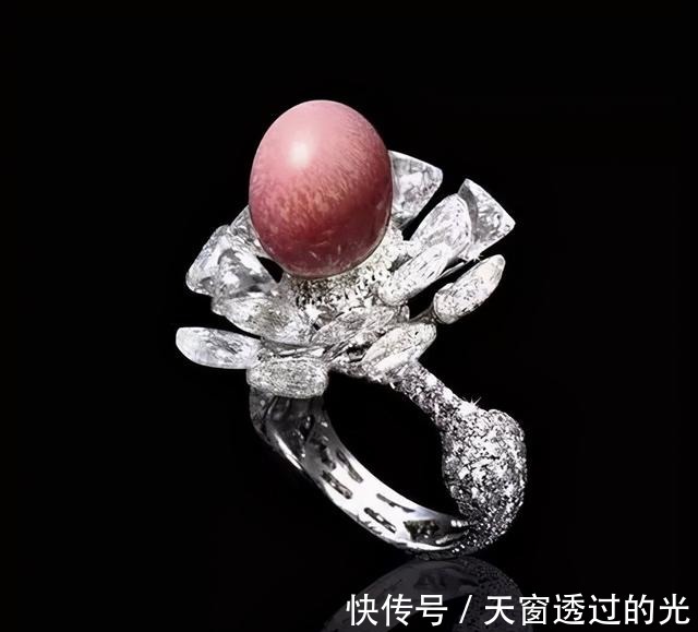 海螺&最珍贵的有机宝石,珍珠中的稀有品种,不了解它,就别说爱珍珠