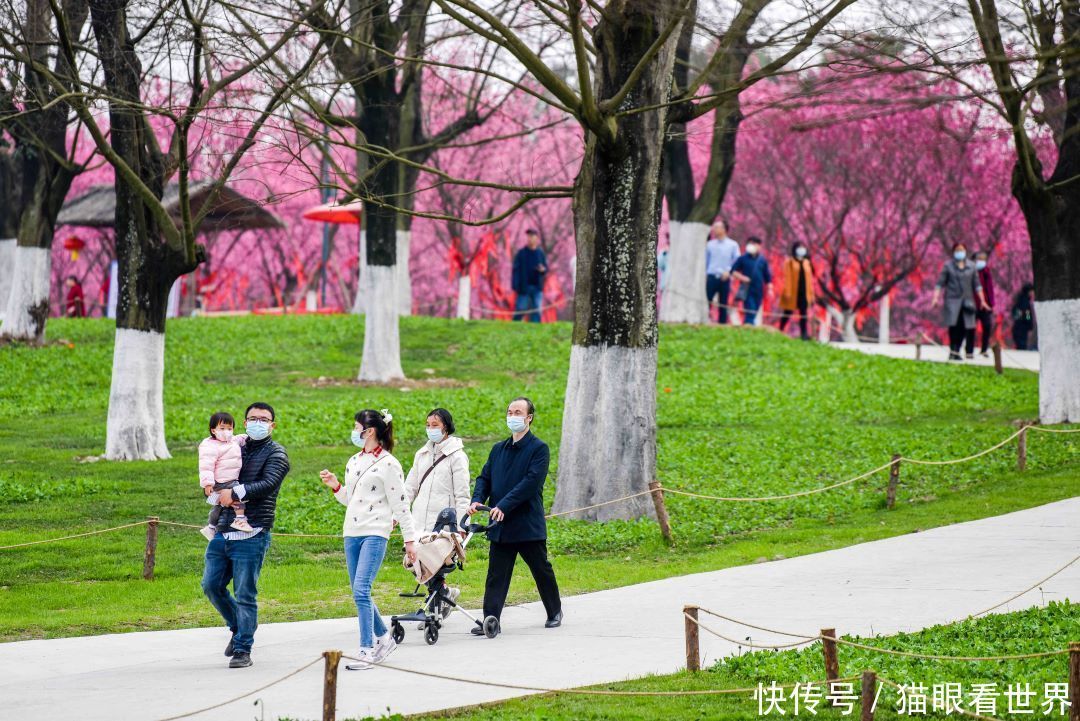 大年初一 成都秀丽东方依然花开成海，美如仙境！游人如织！