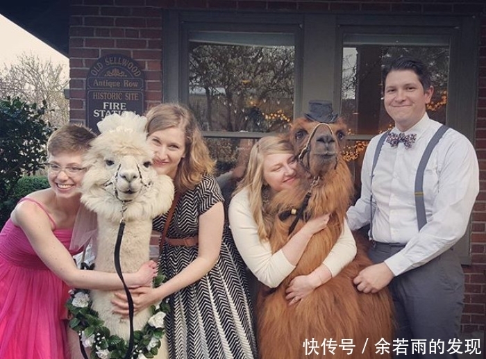 趣图:婚礼的时候一般会邀请什么人?嗯,草泥马伴娘没见过吧?