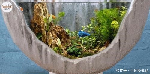 鱼池|这个人挺聪明,用轮胎和桌布改造成精美鱼池,为啥我就想不到!