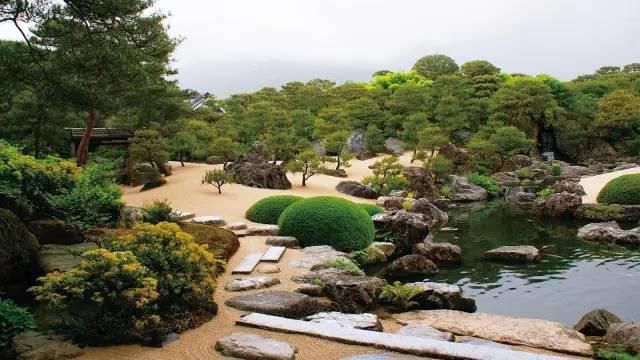 植物“整形”，花样百出