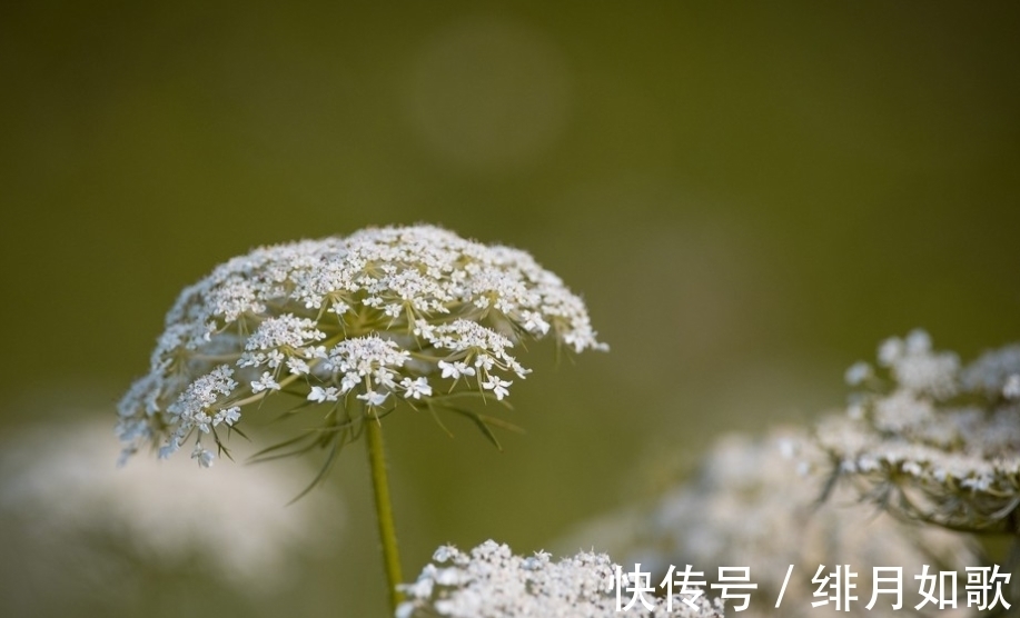 生肖龙|6月底，拒绝讨好，拒绝卑微，3生肖尊重爱情，不是真心，宁可不要