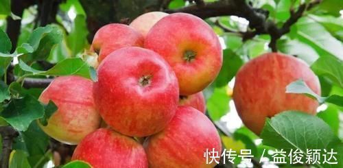 冻柿子|6种水果聪明人从不碰，尤其第二个，堪称寄生虫的窝，有人却爱吃