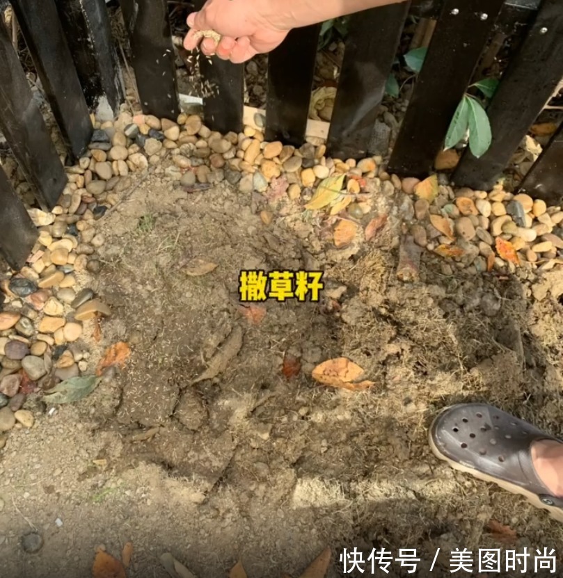 花园|花了两万块，用了7天时间改造40㎡一楼花园，分享花园改造过程