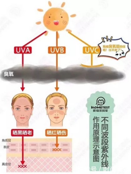 氨基酸洗面奶|皮肤科主任：这4个夏季护肤误区，好多人都做错了，你踩雷了吗？