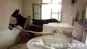 |民间笑话故事,秃驴推磨