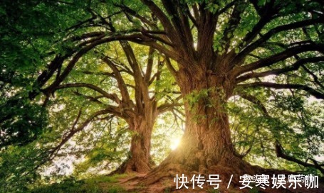 肾气|五脏是否健康？看一眼头发就知道！中医2招，白发转黑，五脏健康