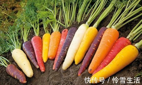 胡萝卜|今天才发现,这3种胡萝卜不能买,菜贩自己也不吃,看完提醒家人