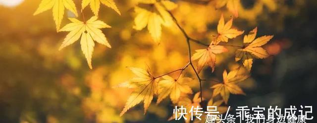 山药|入秋以后,吃这些食物,补一补被夏天掏空的身体!